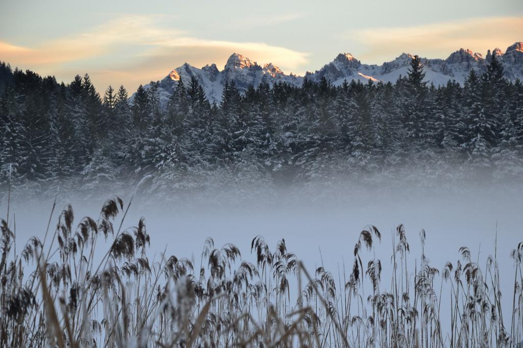 Appartamento Landhaus Am Golfplatz Seefeld in Tirol Esterno foto