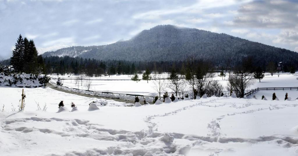 Landhaus Am Golfplatz Seefeld in Tirol Esterno foto